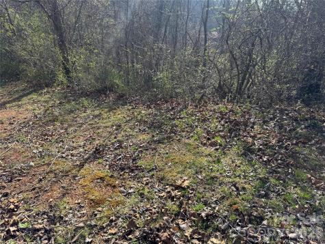 9999 Ox Creek Road Weaverville NC 28787