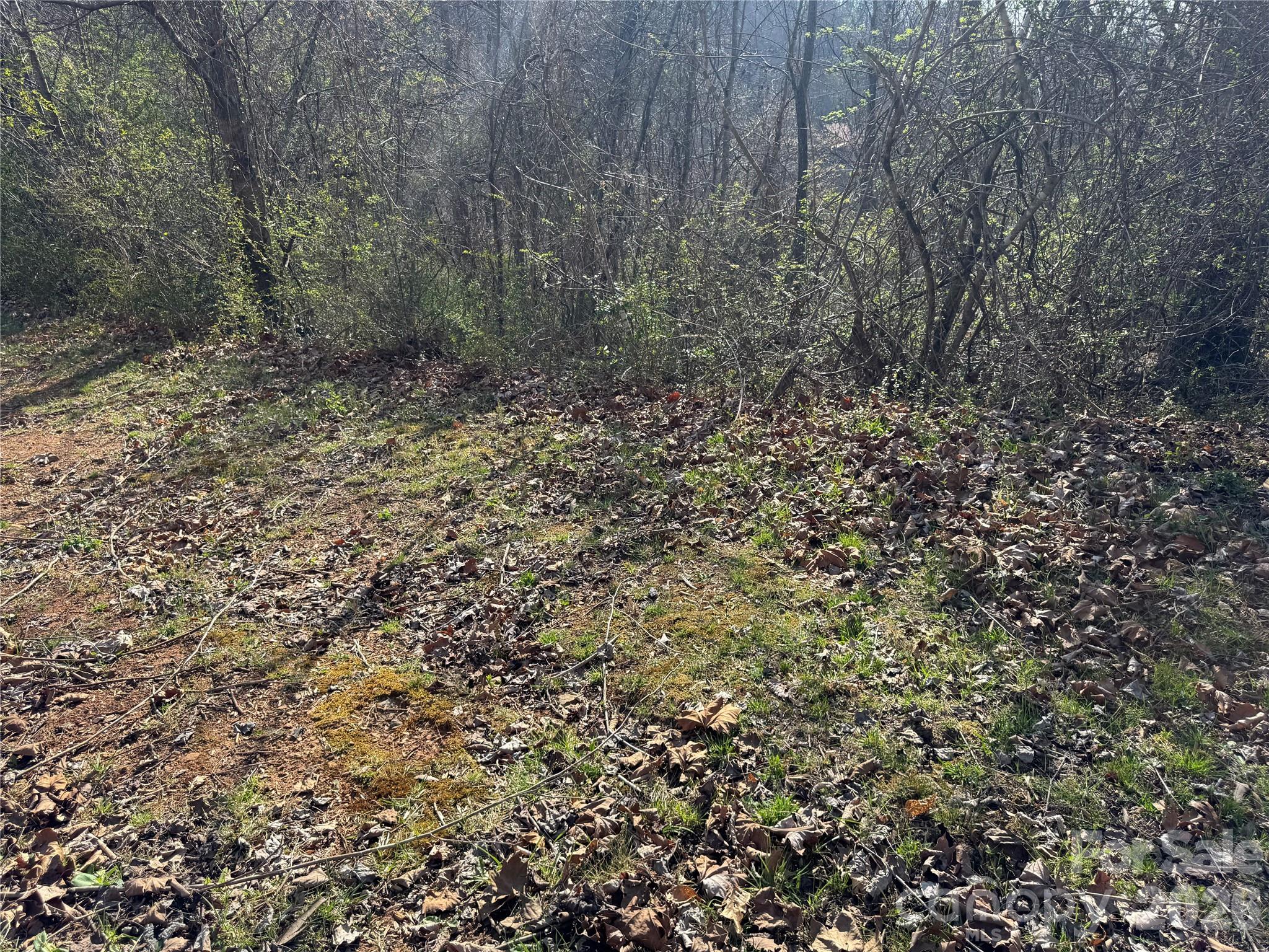 9999 Ox Creek Road Weaverville NC 28787
