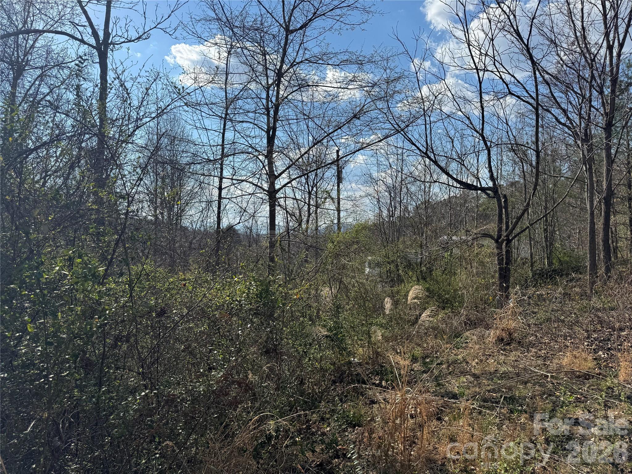 9999 Ox Creek Road Weaverville NC 28787