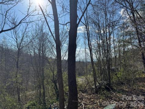 9999 Ox Creek Road Weaverville NC 28787