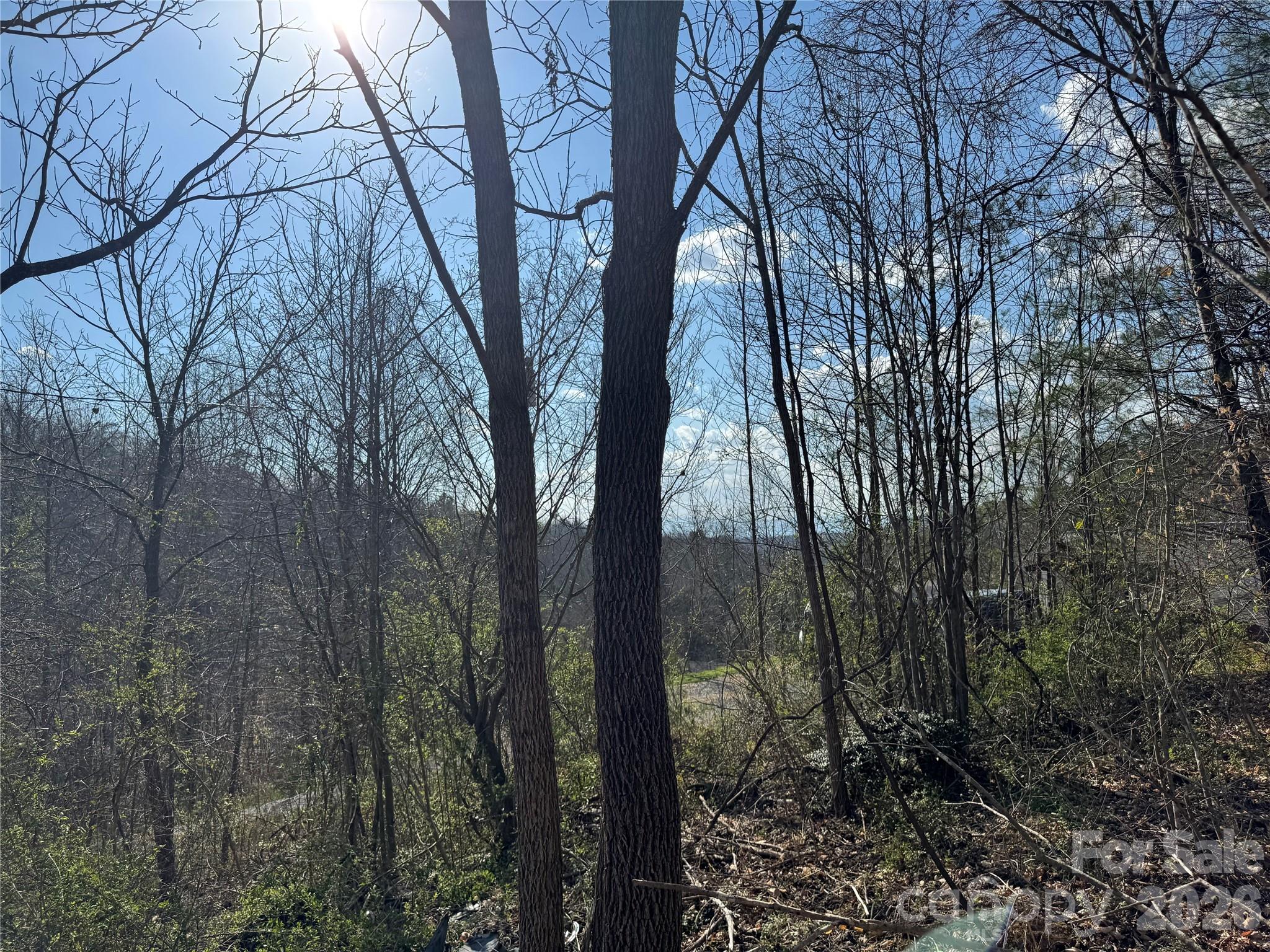 9999 Ox Creek Road Weaverville NC 28787