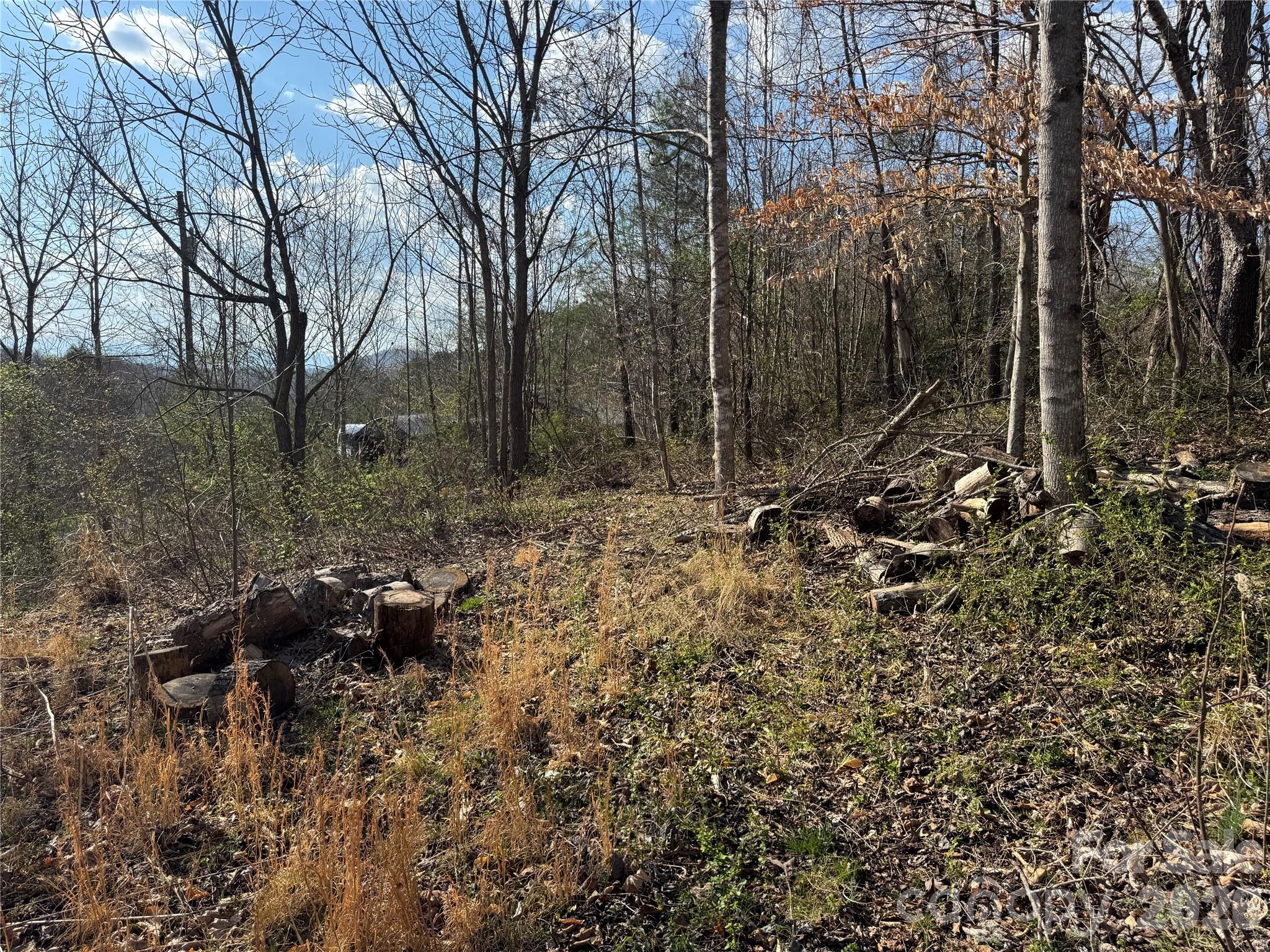 9999 Ox Creek Road Weaverville NC 28787