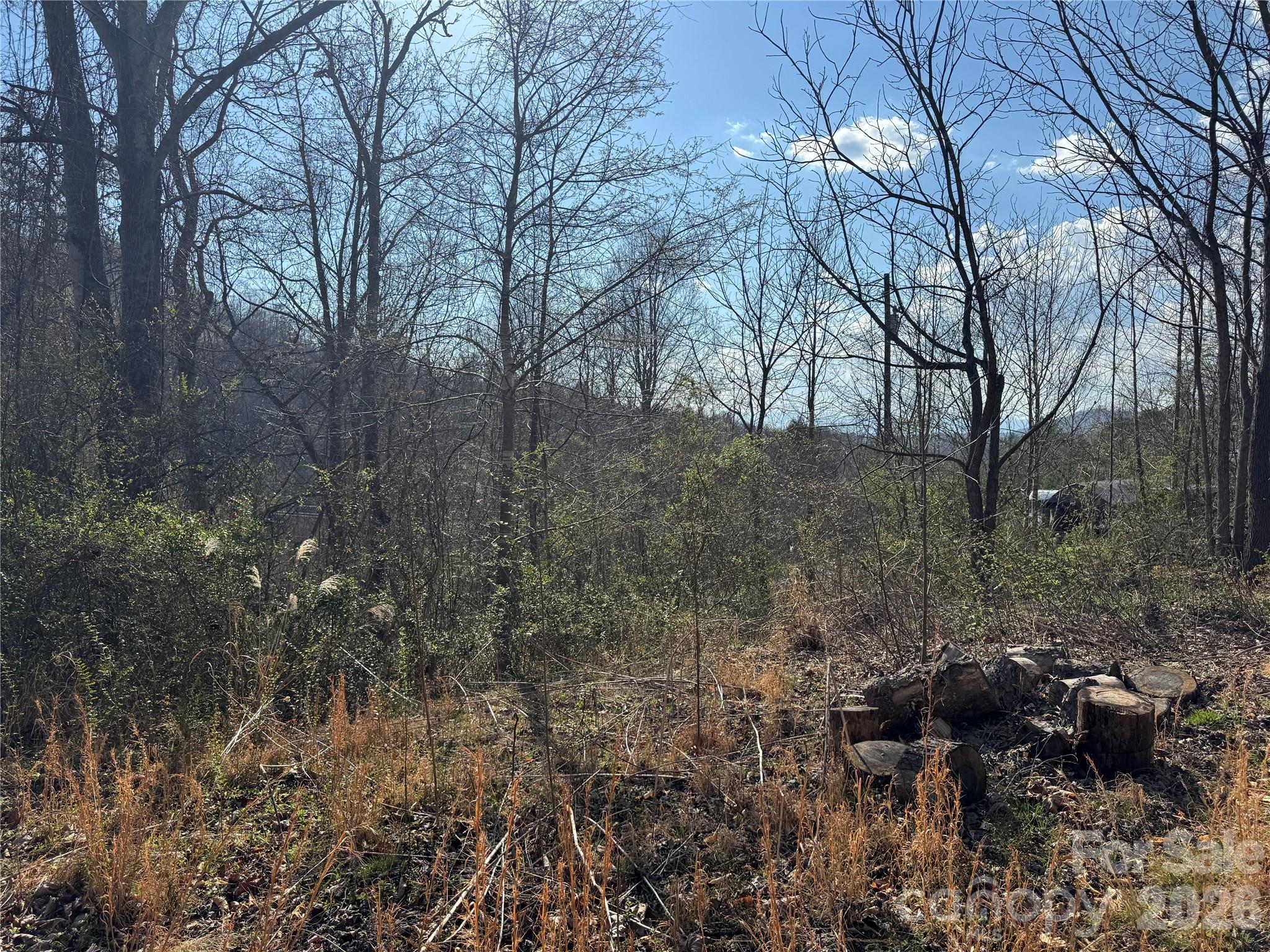 9999 Ox Creek Road Weaverville NC 28787
