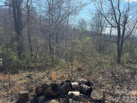 9999 Ox Creek Road Weaverville NC 28787