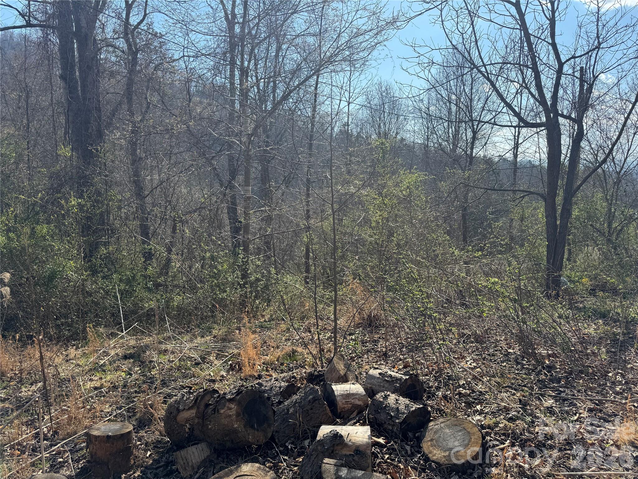 9999 Ox Creek Road Weaverville NC 28787
