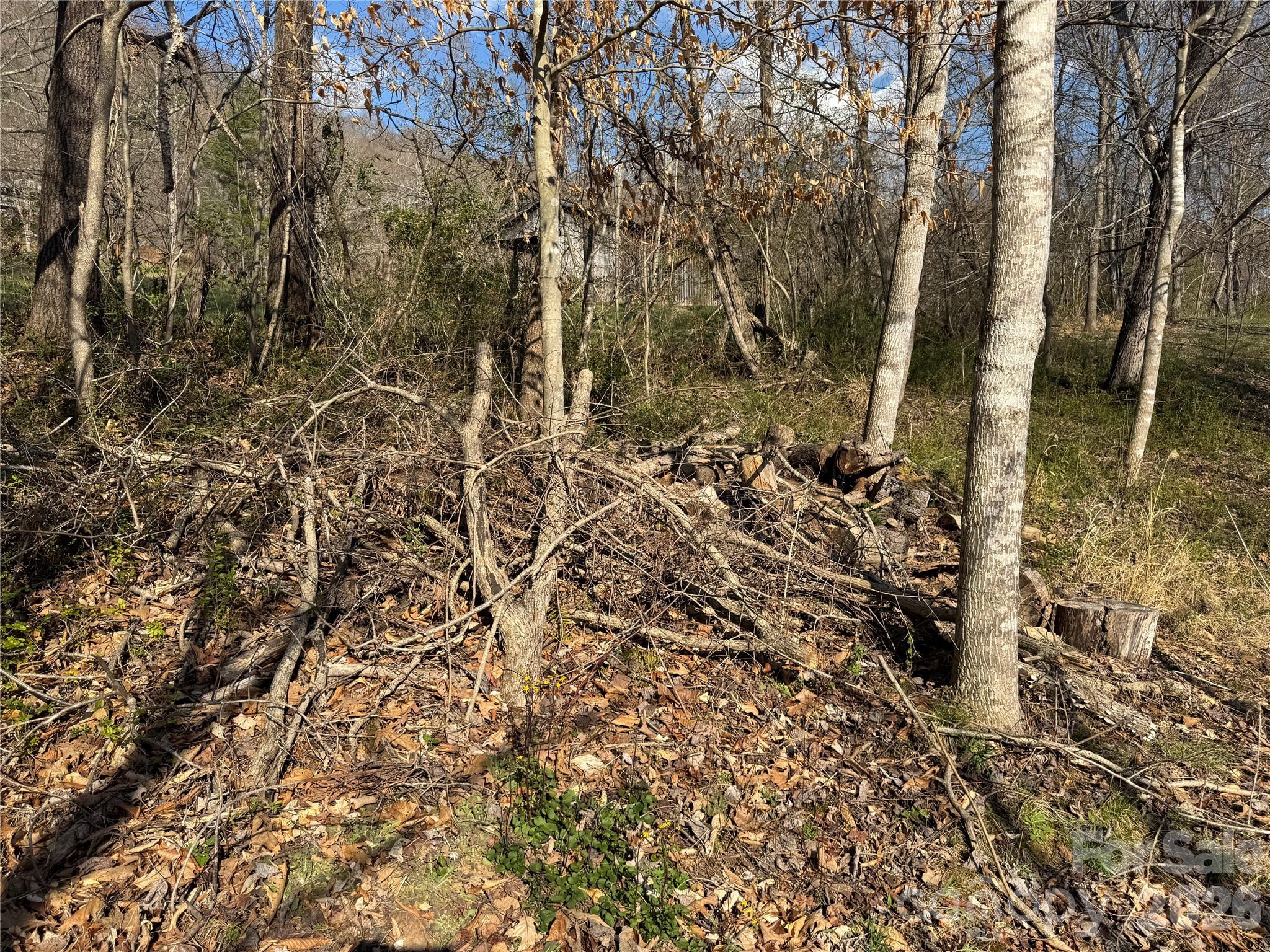 9999 Ox Creek Road Weaverville NC 28787
