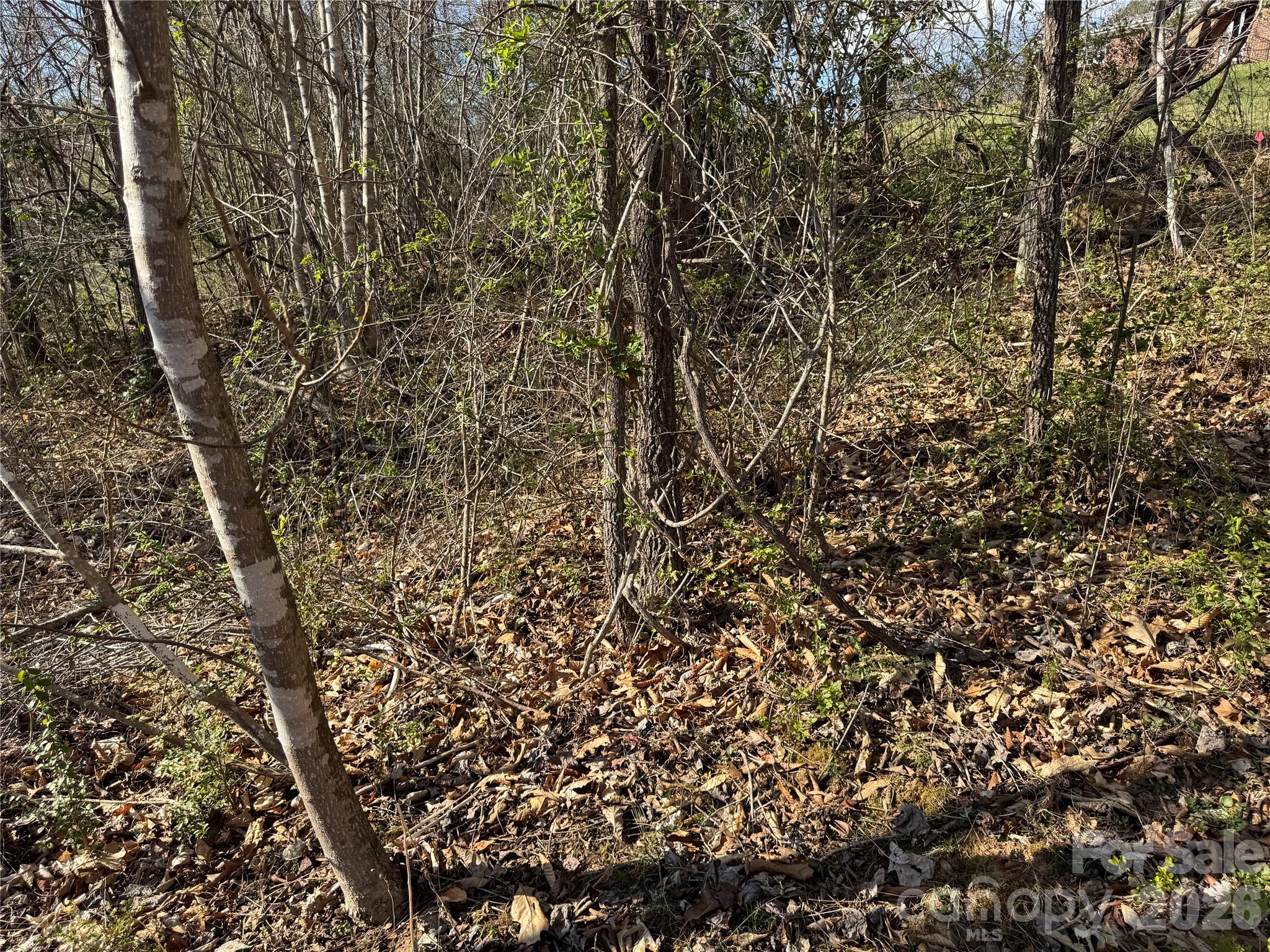 9999 Ox Creek Road Weaverville NC 28787