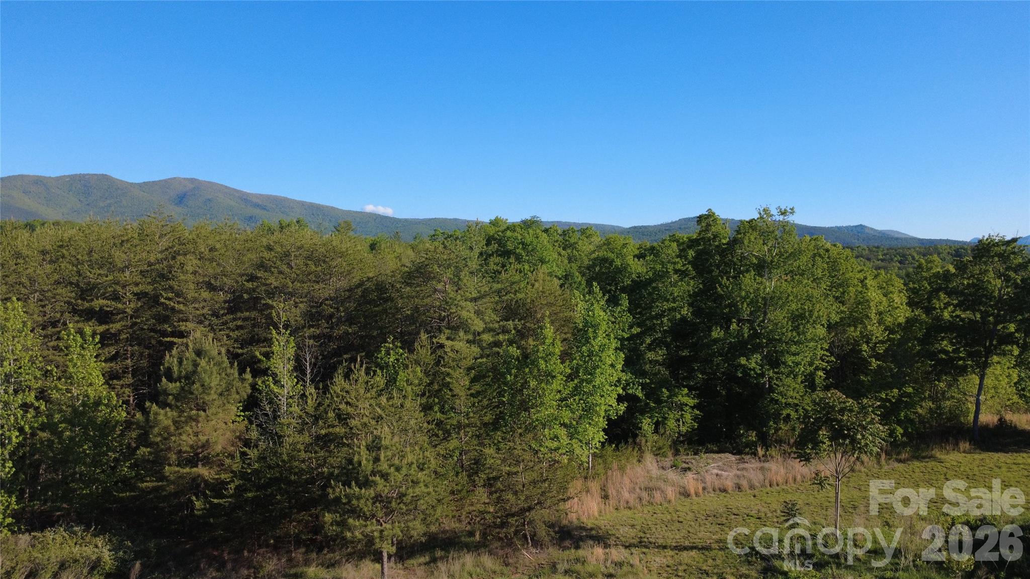 431 Ridge Point Road Nebo NC 28761