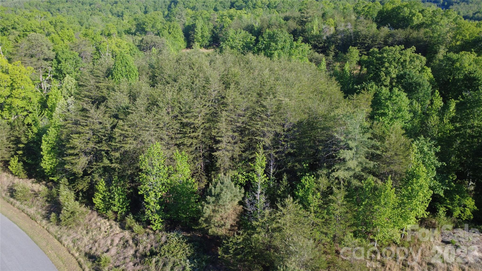 431 Ridge Point Road Nebo NC 28761