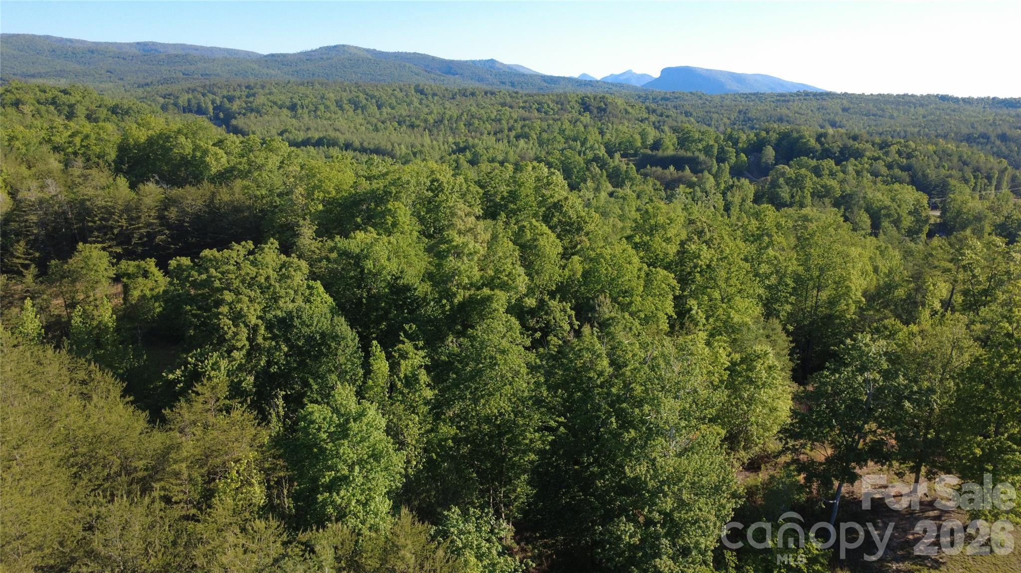 431 Ridge Point Road Nebo NC 28761