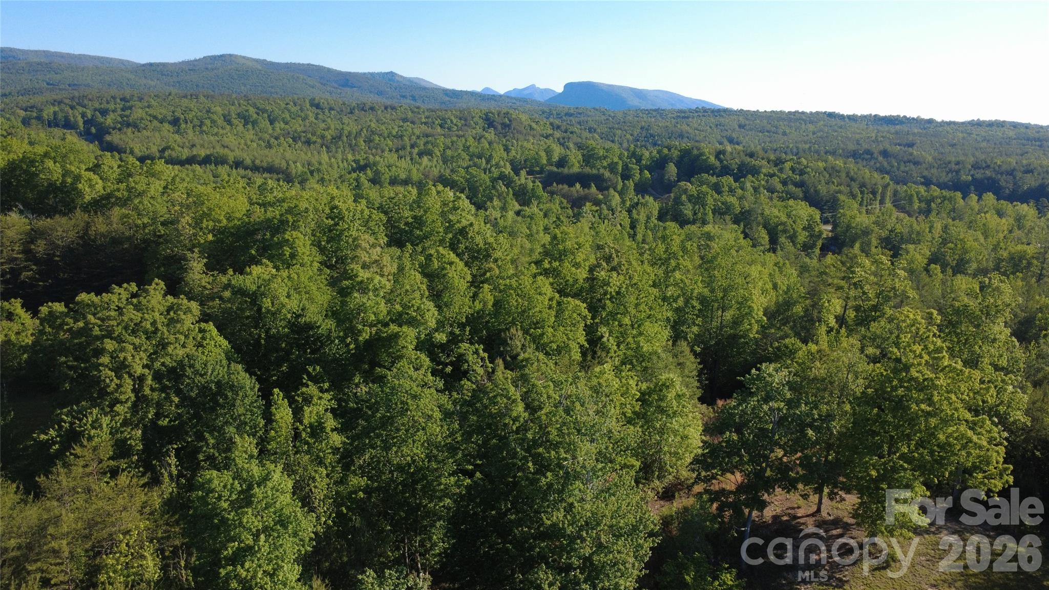431 Ridge Point Road Nebo NC 28761