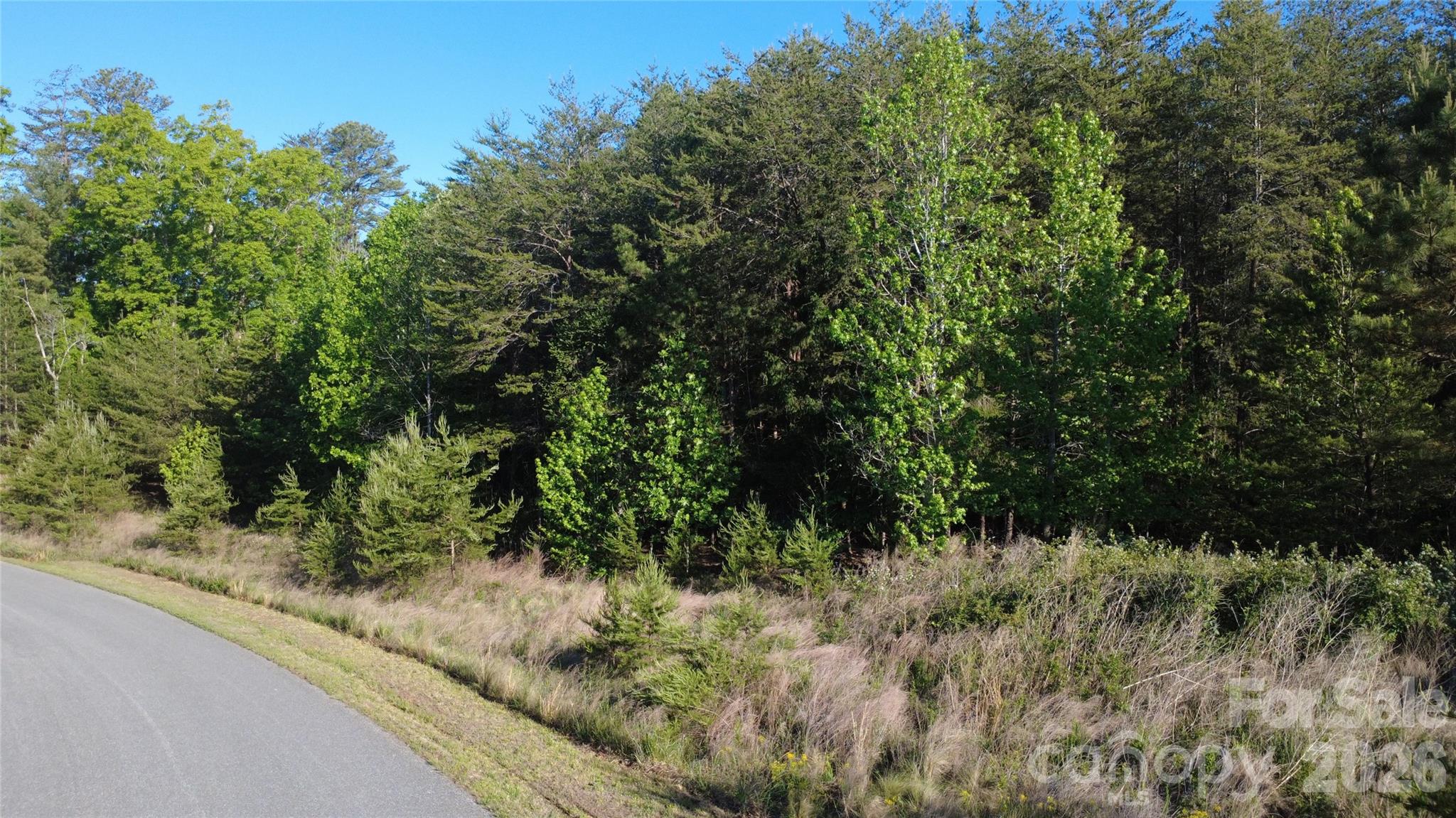 431 Ridge Point Road Nebo NC 28761