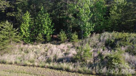 431 Ridge Point Road Nebo NC 28761