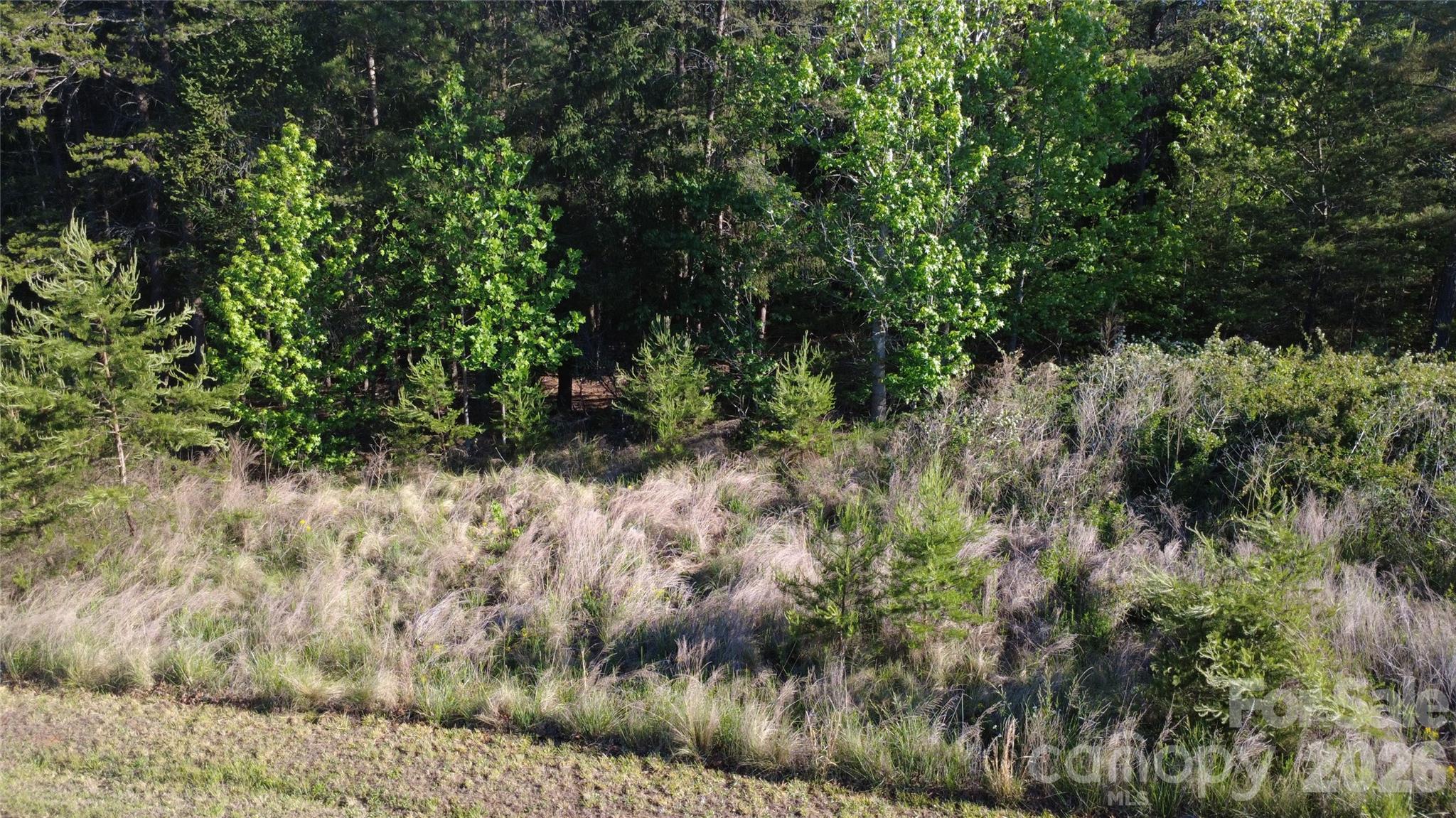 431 Ridge Point Road Nebo NC 28761