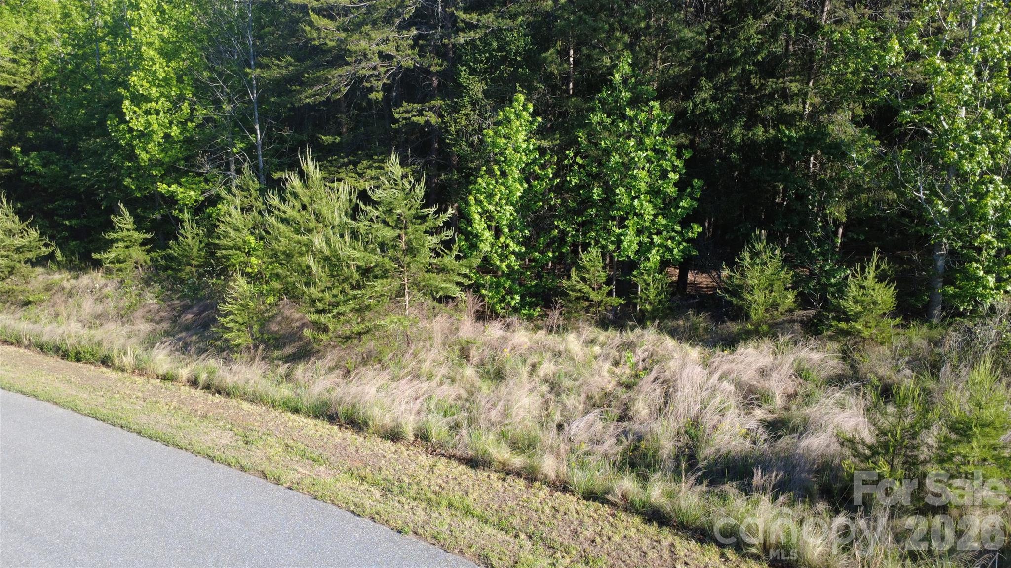 431 Ridge Point Road Nebo NC 28761