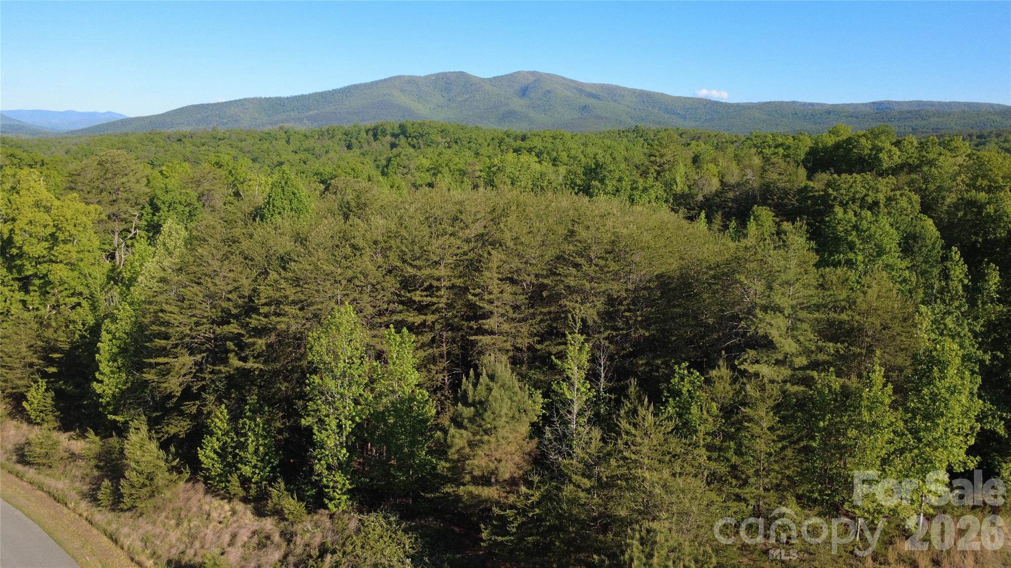 431 Ridge Point Road Nebo NC 28761