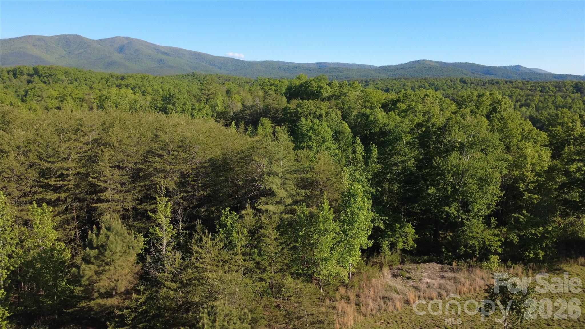 431 Ridge Point Road Nebo NC 28761