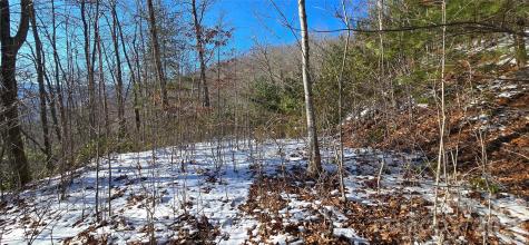 Lot 11 Bernies Trail Waynesville NC 28785