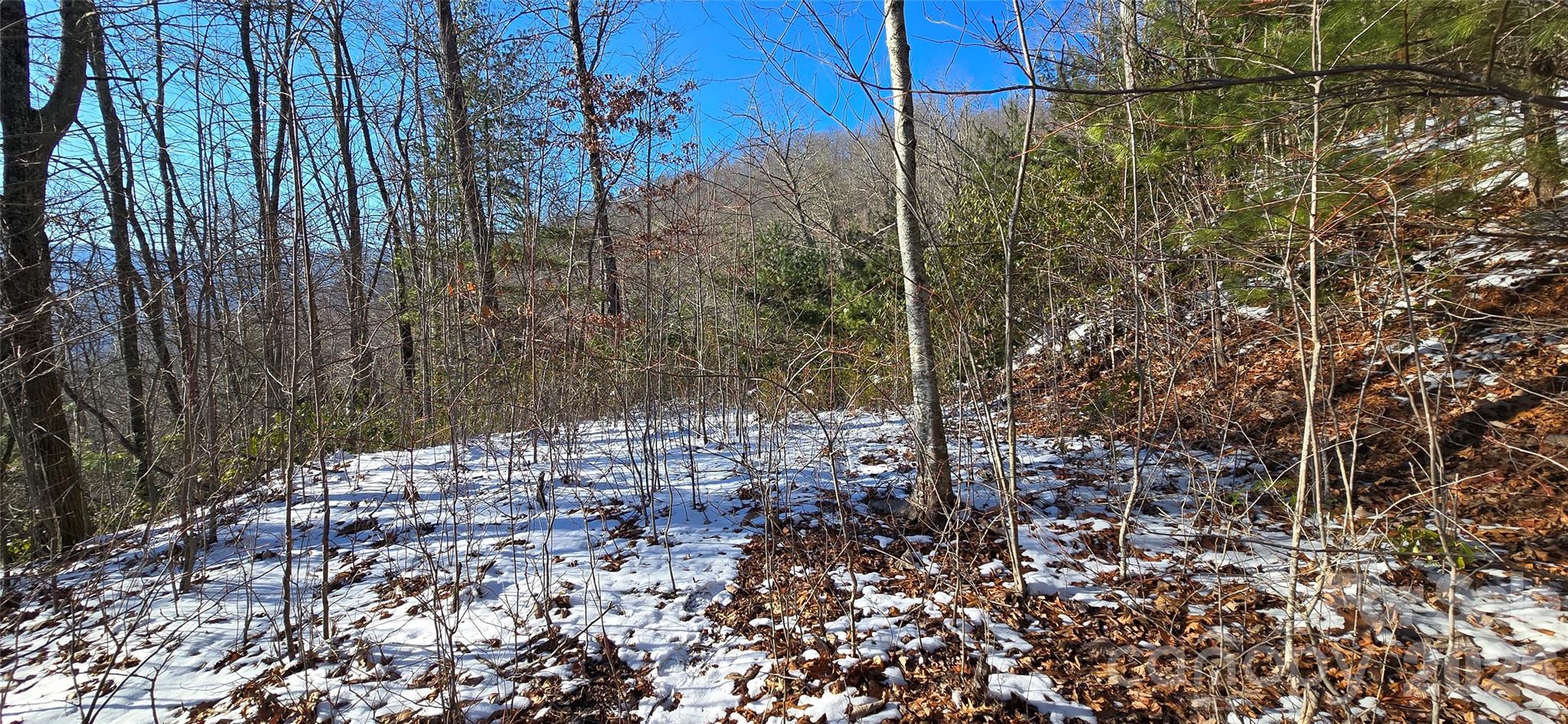 Lot 11 Bernies Trail Waynesville NC 28785