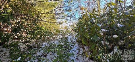 Lot 11 Bernies Trail Waynesville NC 28785