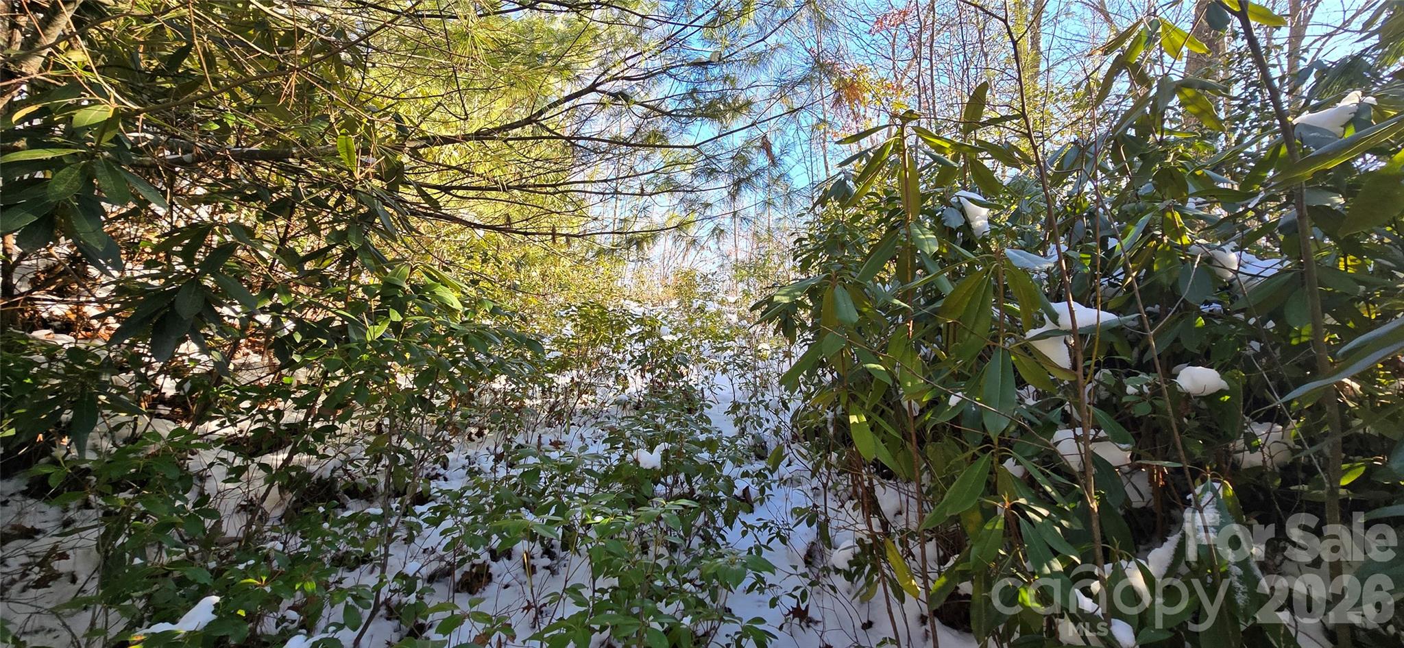 Lot 11 Bernies Trail Waynesville NC 28785