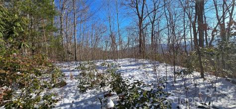 Lot 11 Bernies Trail Waynesville NC 28785