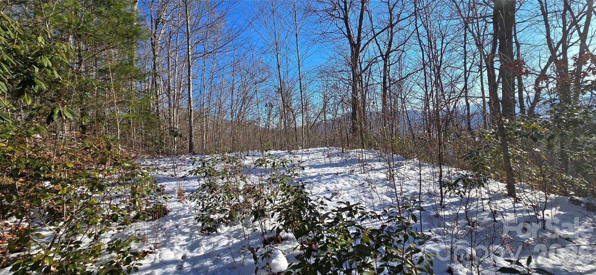 Lot 11 Bernies Trail Waynesville NC 28785