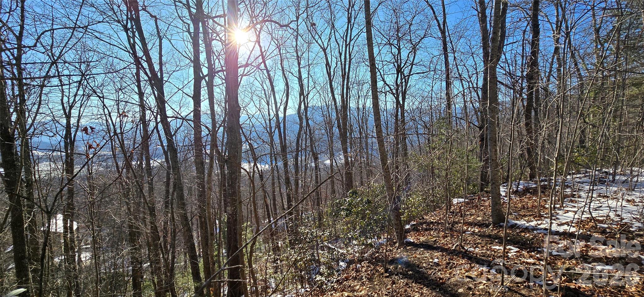 Lot 11 Bernies Trail Waynesville NC 28785