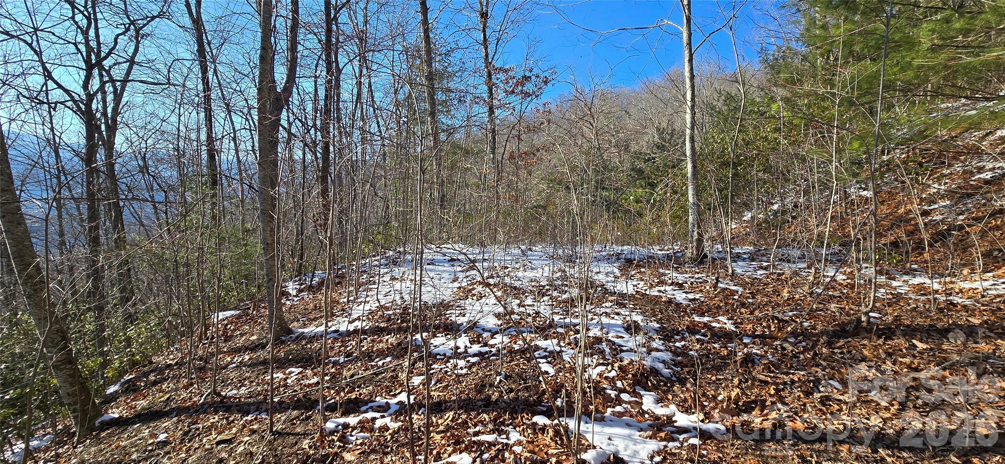 Lot 11 Bernies Trail Waynesville NC 28785
