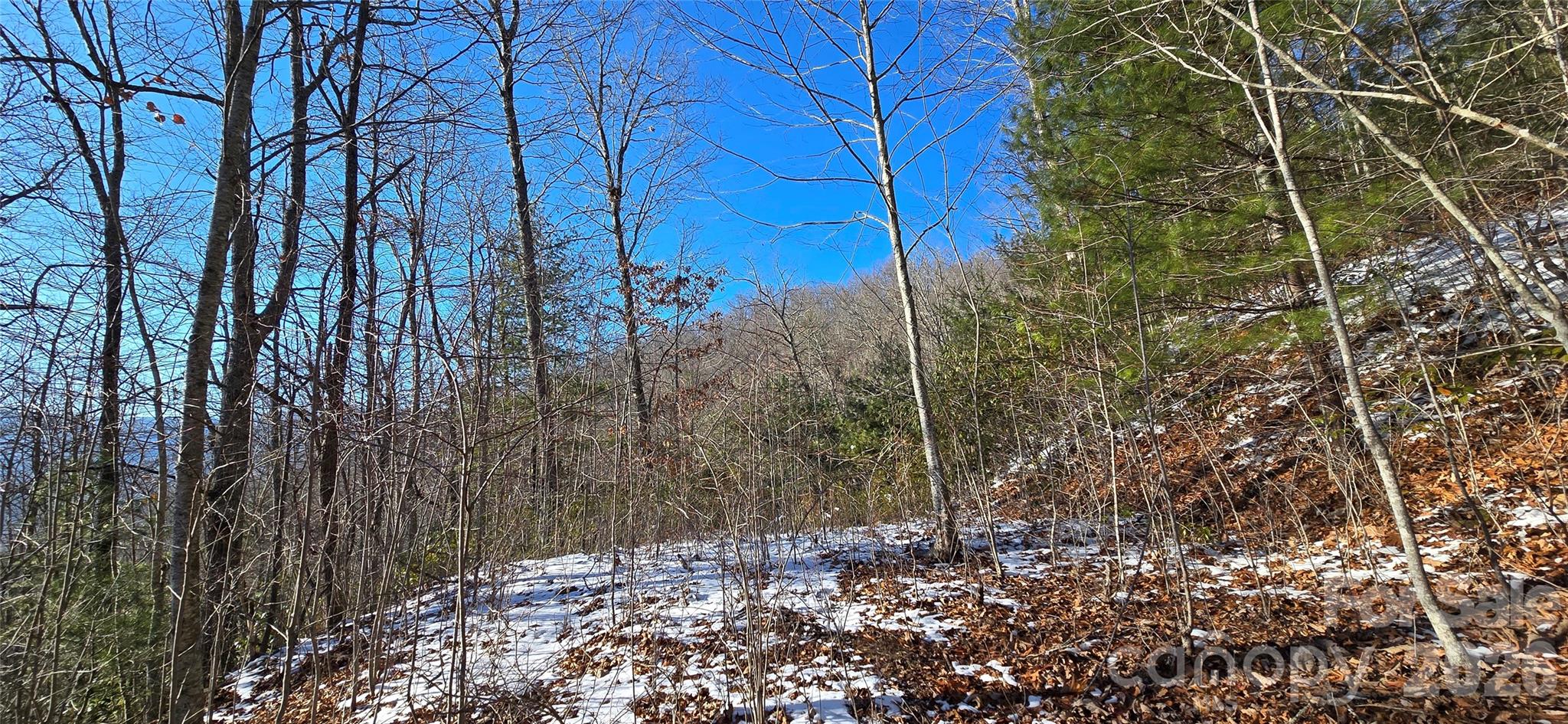 Lot 11 Bernies Trail Waynesville NC 28785