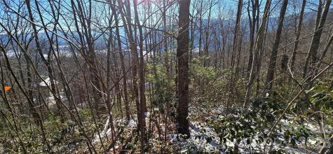 Lot 11 Bernies Trail Waynesville NC 28785