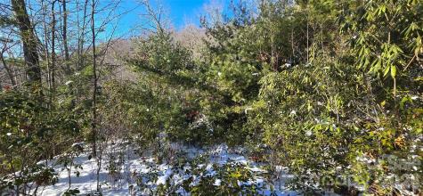Lot 11 Bernies Trail Waynesville NC 28785