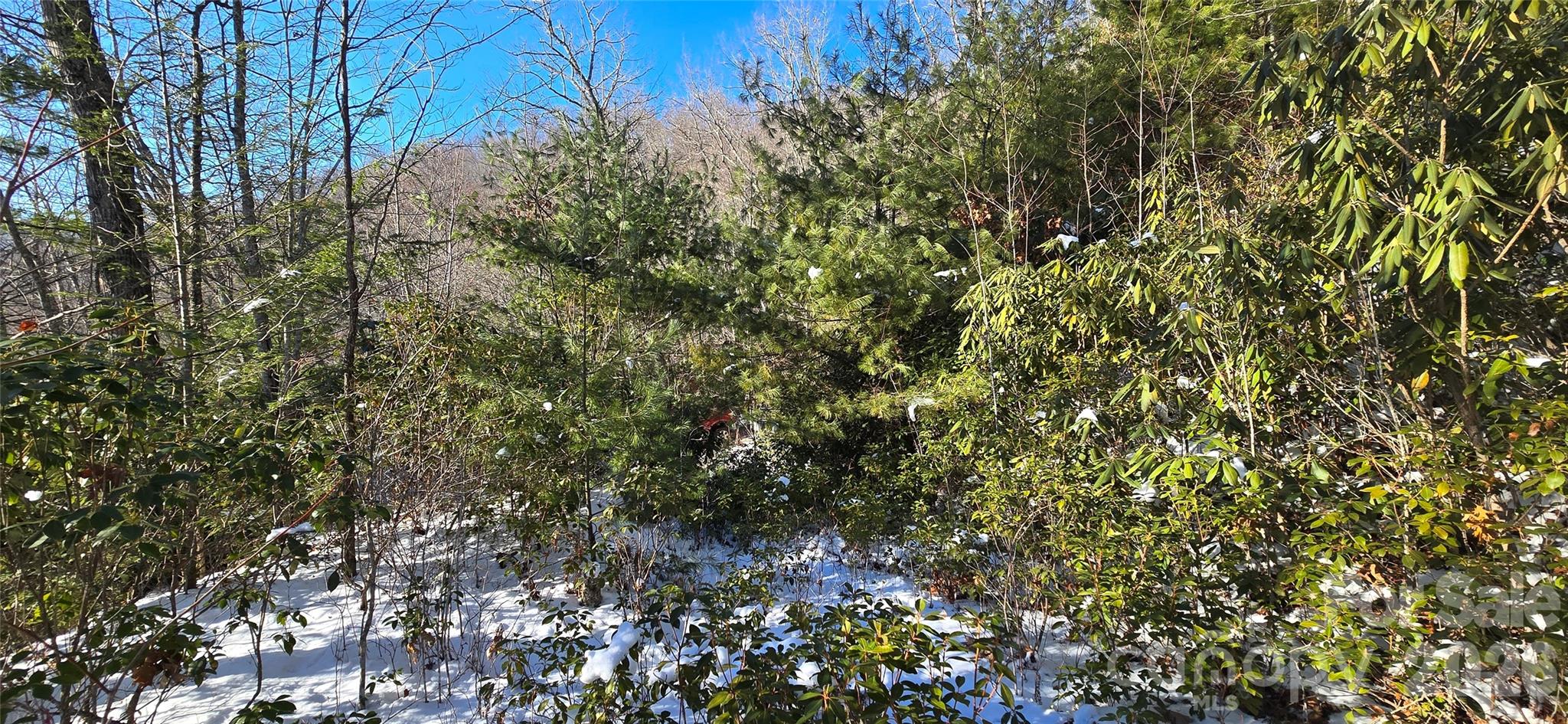 Lot 11 Bernies Trail Waynesville NC 28785