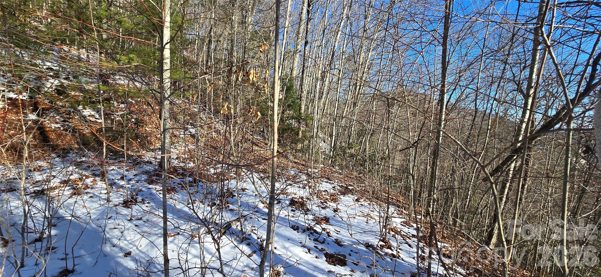 Lot 11 Bernies Trail Waynesville NC 28785