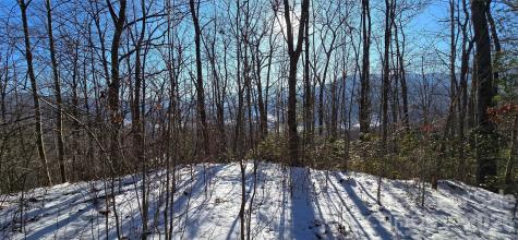 Lot 11 Bernies Trail Waynesville NC 28785