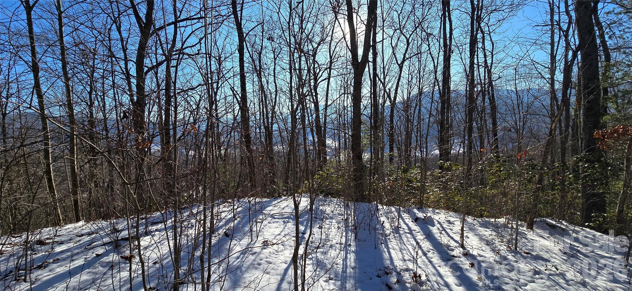 Lot 11 Bernies Trail Waynesville NC 28785