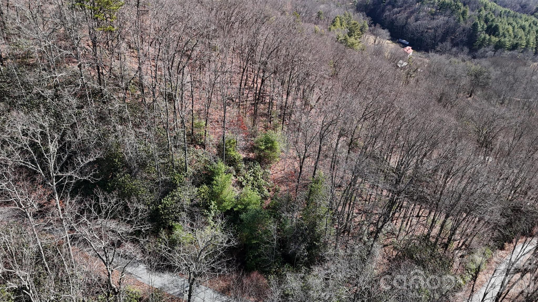 Lot 11 Bernies Trail Waynesville NC 28785