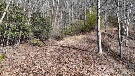 Lot 11 Bernies Trail Waynesville NC 28785
