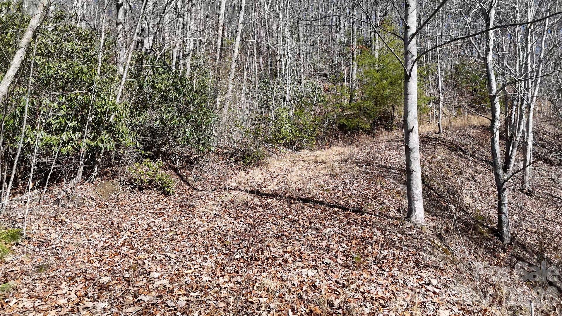 Lot 11 Bernies Trail Waynesville NC 28785