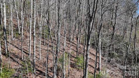 Lot 11 Bernies Trail Waynesville NC 28785