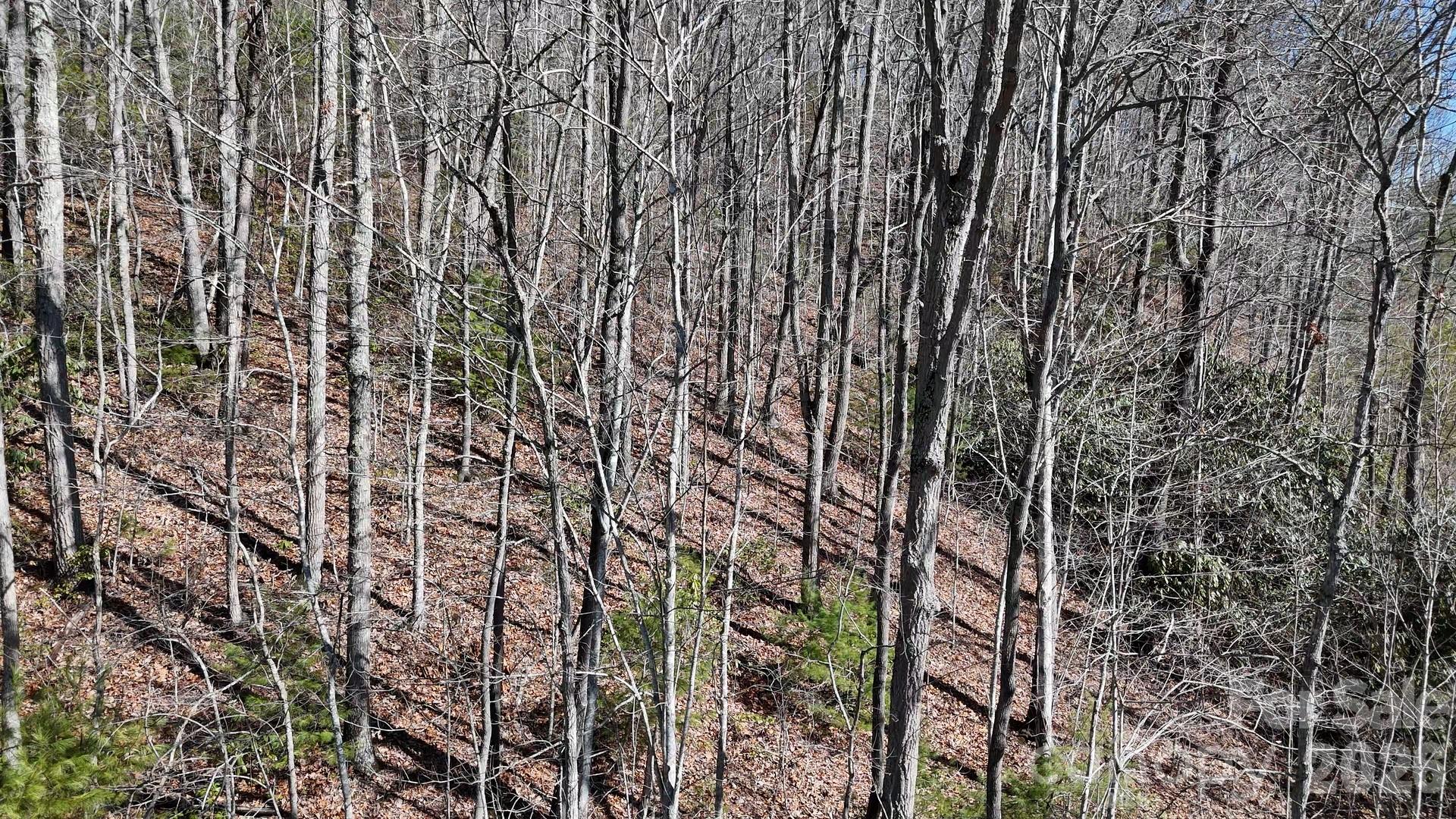 Lot 11 Bernies Trail Waynesville NC 28785