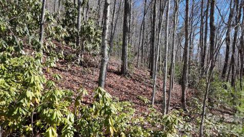 Lot 11 Bernies Trail Waynesville NC 28785