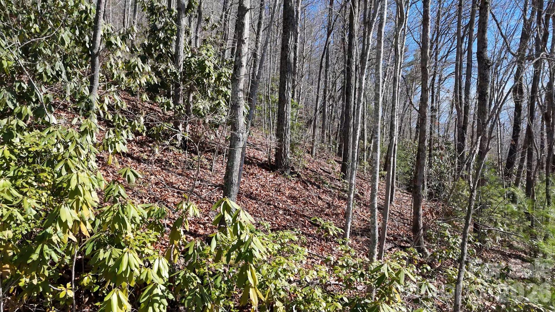 Lot 11 Bernies Trail Waynesville NC 28785