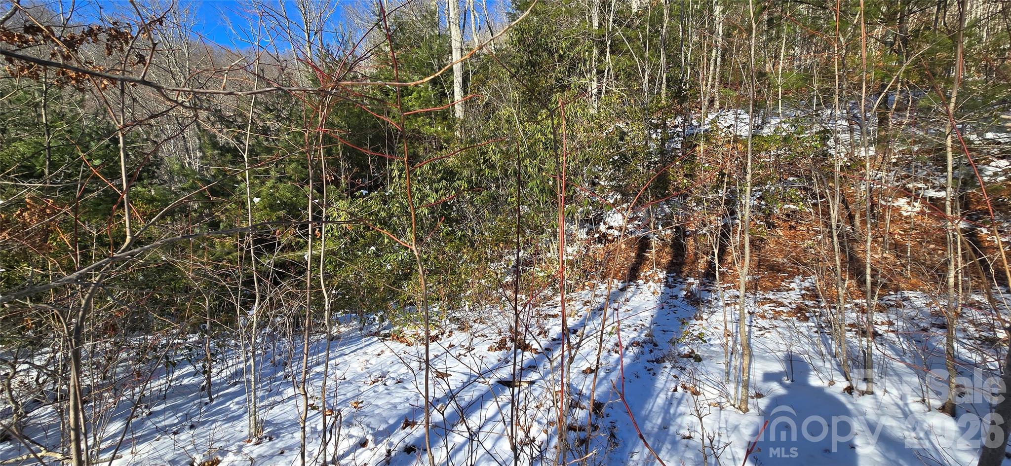 Lot 11 Bernies Trail Waynesville NC 28785