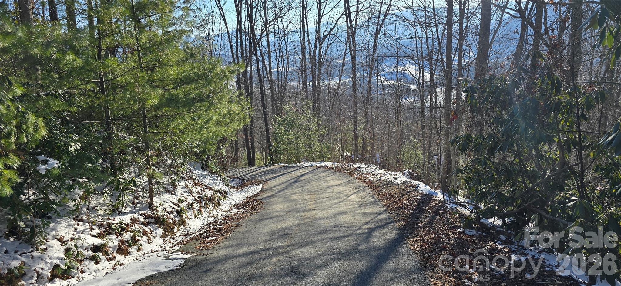 Lot 11 Bernies Trail Waynesville NC 28785