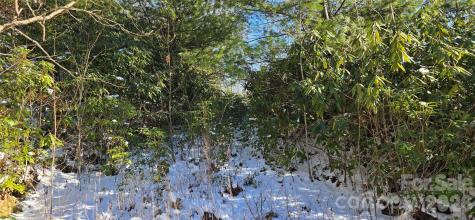 Lot 11 Bernies Trail Waynesville NC 28785