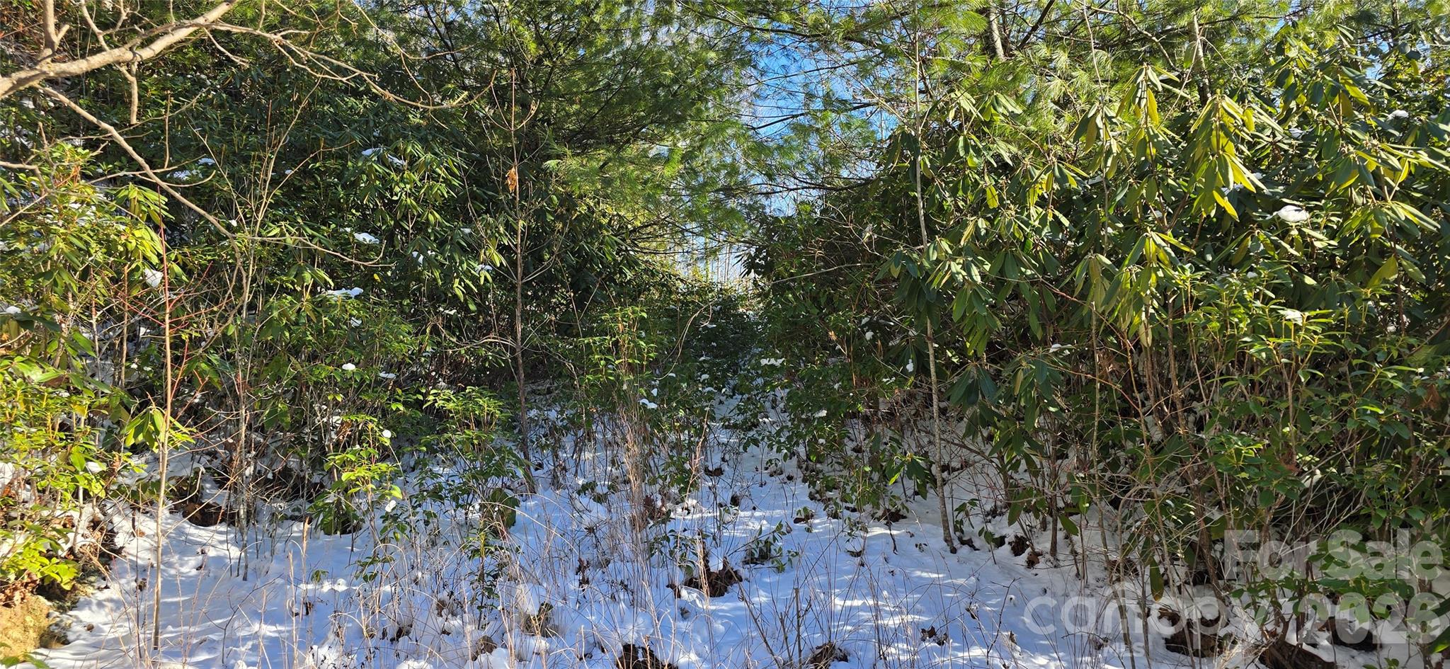 Lot 11 Bernies Trail Waynesville NC 28785