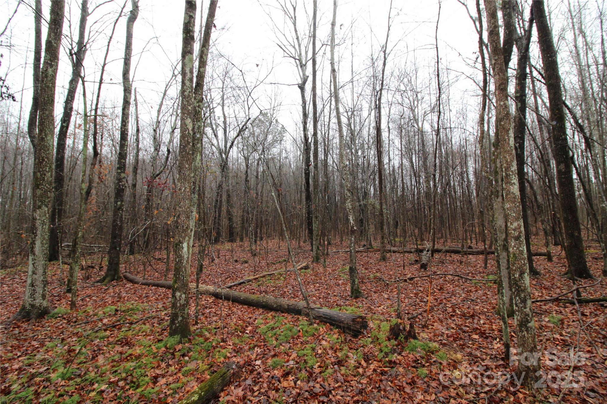 14.41+/-AC Eaker Road Bessemer City NC 28016