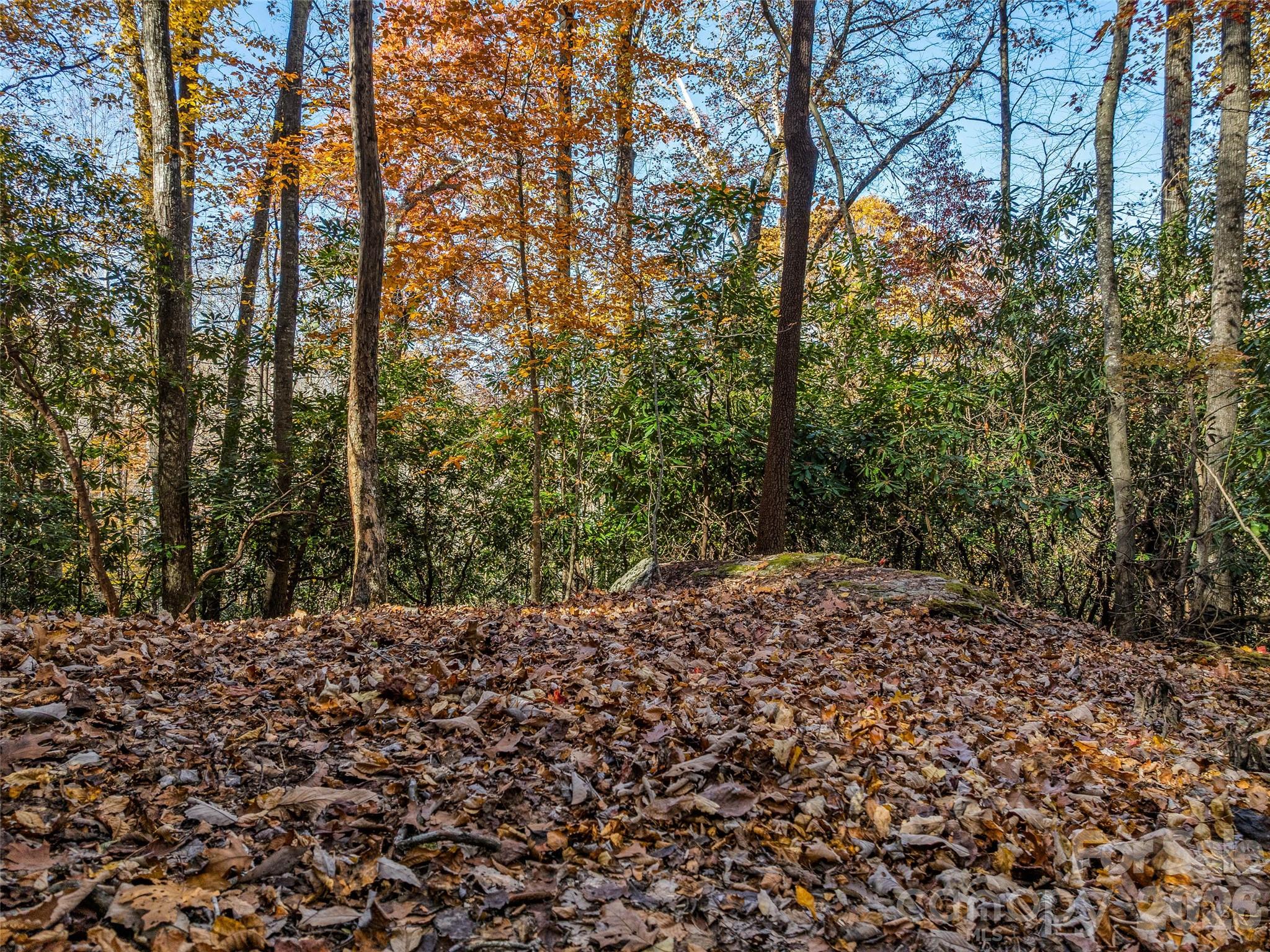 241 Skye Drive Pisgah Forest NC 28768