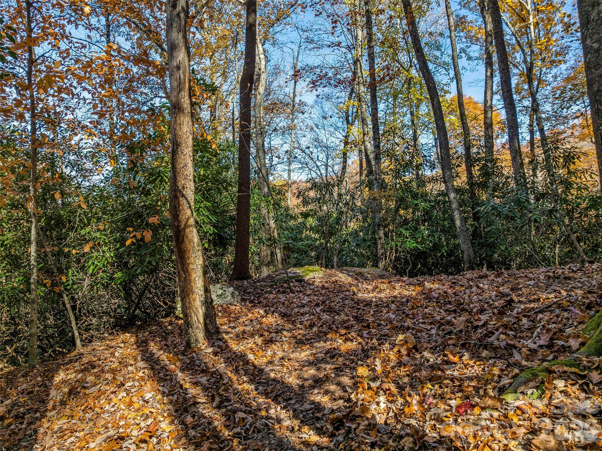 241 Skye Drive Pisgah Forest NC 28768